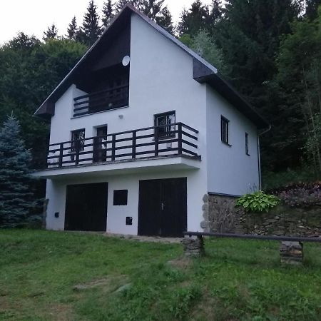 Chata Na Lipne Lipno nad Vltavou Kültér fotó